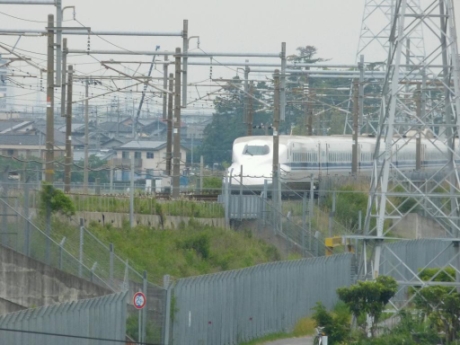 画像7